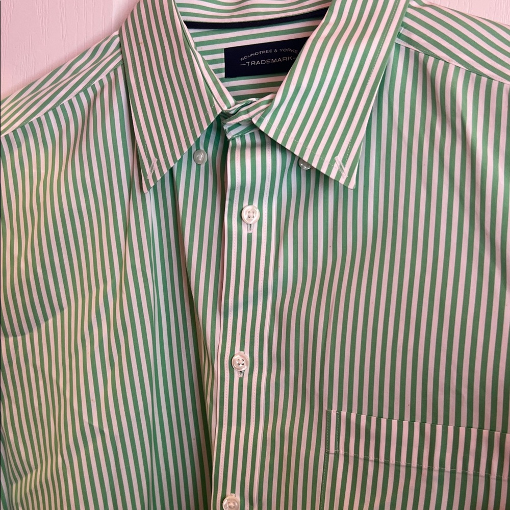 Roundtree & Yorke Green and White Striped Dress Shirt